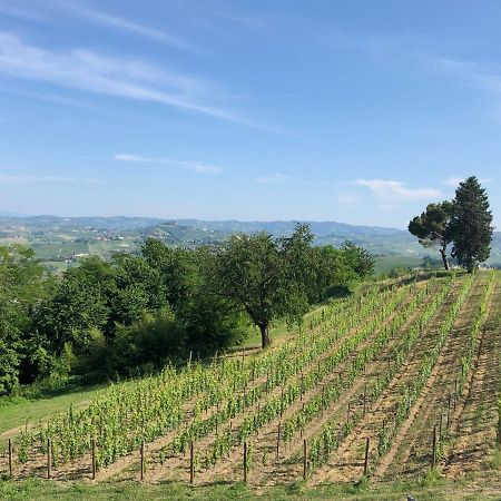 Cascina San Michele Bed and Breakfast Costigliole d'Asti Eksteriør billede