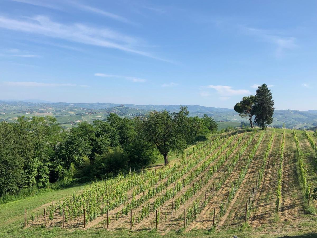 Cascina San Michele Bed and Breakfast Costigliole d'Asti Eksteriør billede
