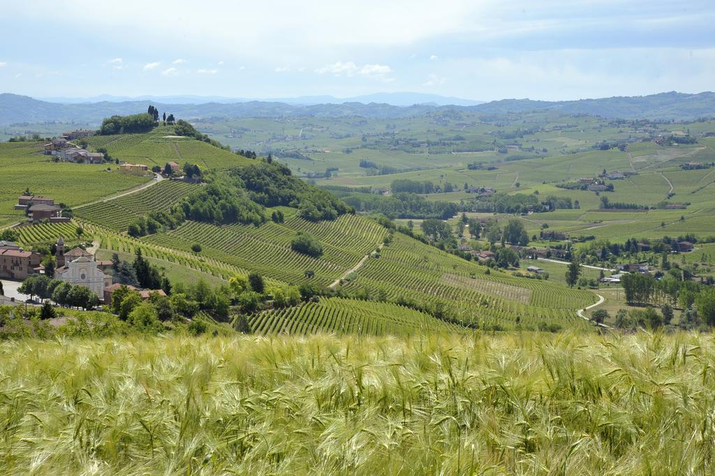 Cascina San Michele Bed and Breakfast Costigliole d'Asti Eksteriør billede