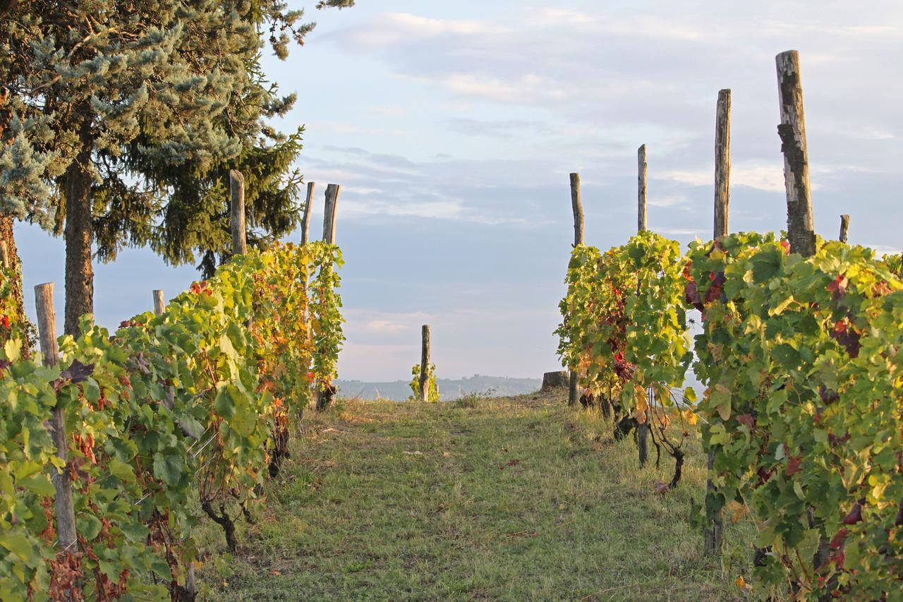 Cascina San Michele Bed and Breakfast Costigliole d'Asti Eksteriør billede